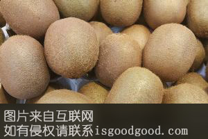 南召猕猴桃特产照片