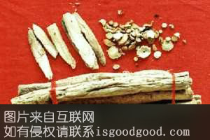 桓仁黄芪特产照片