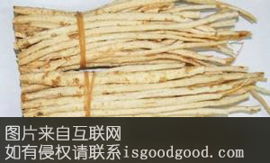 莱阳北沙参特产照片