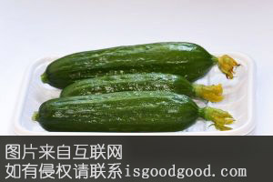 埠前黄瓜特产照片