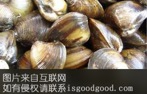 莱阳河蚬特产照片
