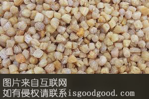 “海马”瑶柱粥特产照片