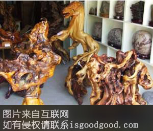 盆景根艺特产照片