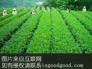 清江茶特产照片