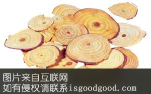 乌药特产照片