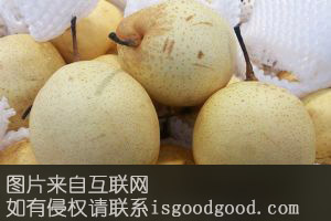 始兴沙梨特产照片