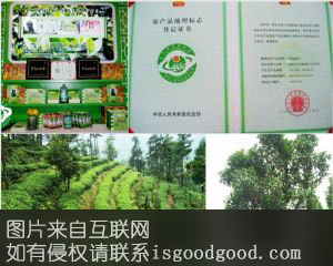 崇州龙门贡茶特产照片