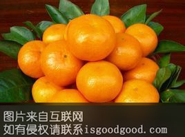 宜都黑岩子蜜柑特产照片