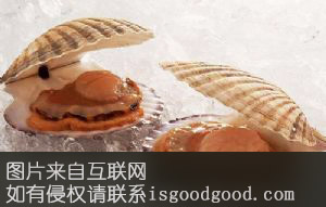 长岛扇贝特产照片
