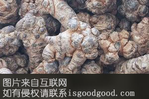 峨三七特产照片