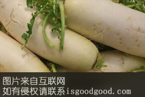 斜子萝卜特产照片
