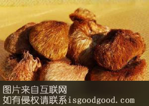 东北猴头蘑珍品压缩块特产照片