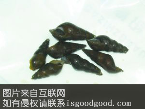 小石螺特产照片