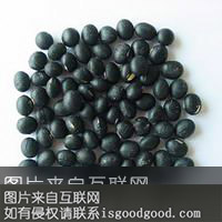 黑马铃薯特产照片