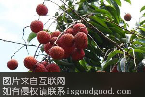岑溪思孟荔枝特产照片