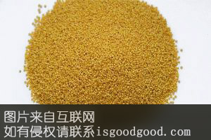 曹范小米特产照片