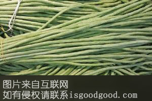 青青牌蔬菜特产照片