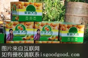 繁峙白水大杏特产照片