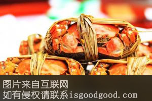 野生花盖蟹特产照片