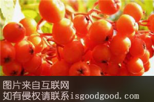 秋实特产照片