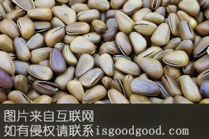 伊春松子特产照片