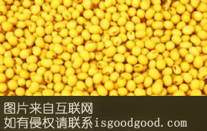大豆特产照片