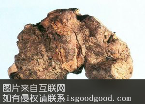 炉霍特产炉霍茯苓