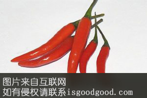 隆尧辣椒特产照片