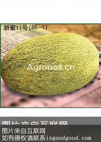 新蜜11号特产照片