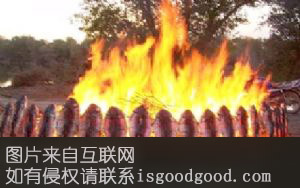巴楚烤鱼特产照片