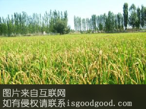 乌兰再格森乡水晶米特产照片
