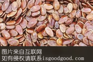 宁夏红瓜子特产照片