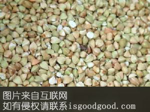 荞麦飘香特产照片