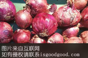 肃州洋葱特产照片