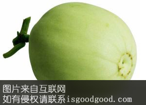 硬皮网纹甜瓜特产照片