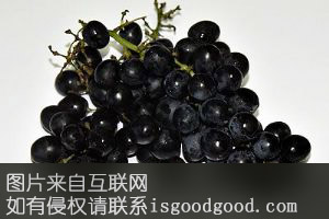 蒲城红提葡萄特产照片