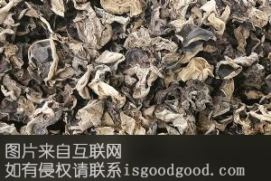 商洛黑木耳特产照片