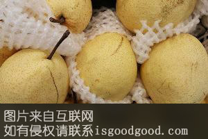 瓤宝珠梨特产照片