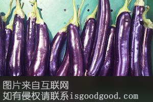 东川茄子特产照片