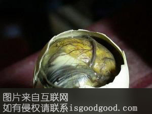 河口鸭仔蛋特产照片