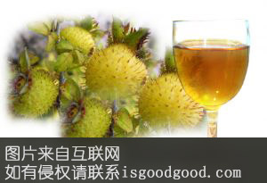 花溪刺梨酒特产照片
