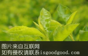 核桃坝茶叶特产照片