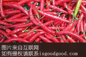 湄潭小米椒特产照片