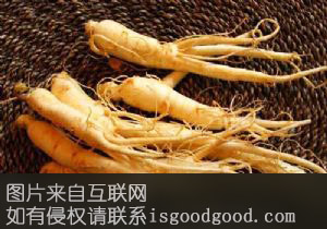 云顶明参特产照片
