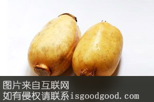 永兴莲藕特产照片