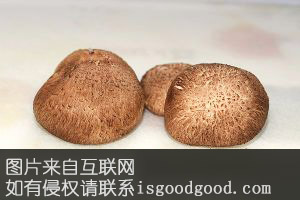 天全香菇特产照片