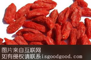 洛须枸杞特产照片