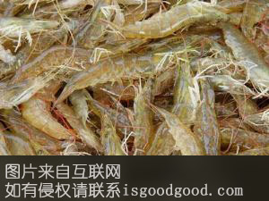 钦州对虾特产照片