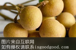 灵山县龙眼特产照片