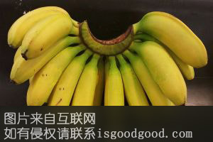 灵山香蕉特产照片